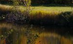 bandeau_automne