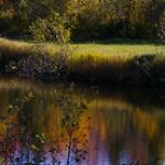 Annonce_csm_automne-2017