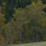 Annonce_csm_automne-2018a