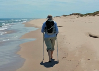 Les ateliers de la Pèlerine